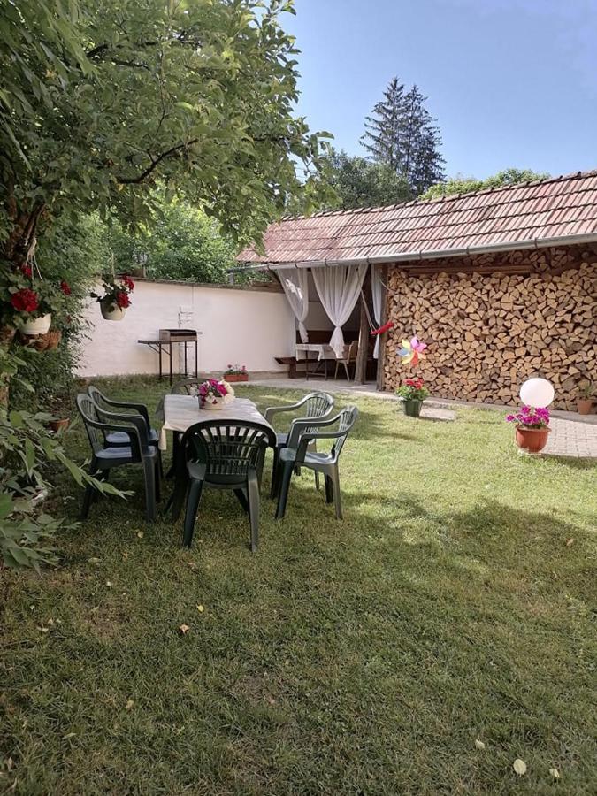 Casa De Oaspeti Orso ソバタ エクステリア 写真